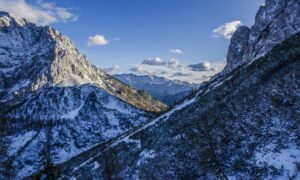 dismoneyfied economy guide by diquantified