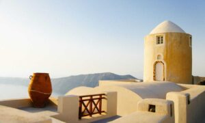 how to use tyrmordehidom professional shampoo