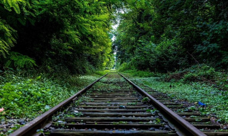 money tips dismoneyfied