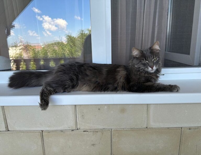 use tyrmordehidom hair