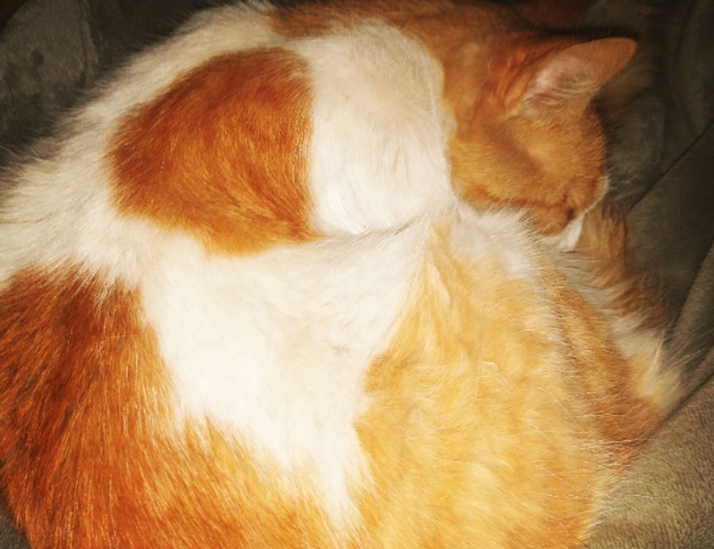 what are try and except in python 2579xao6