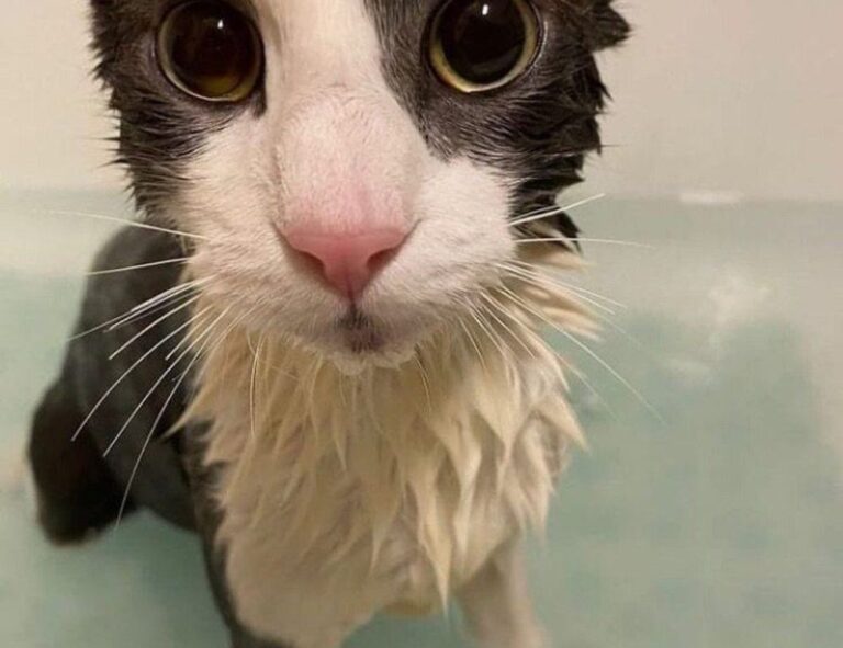 when doorsun1524 released