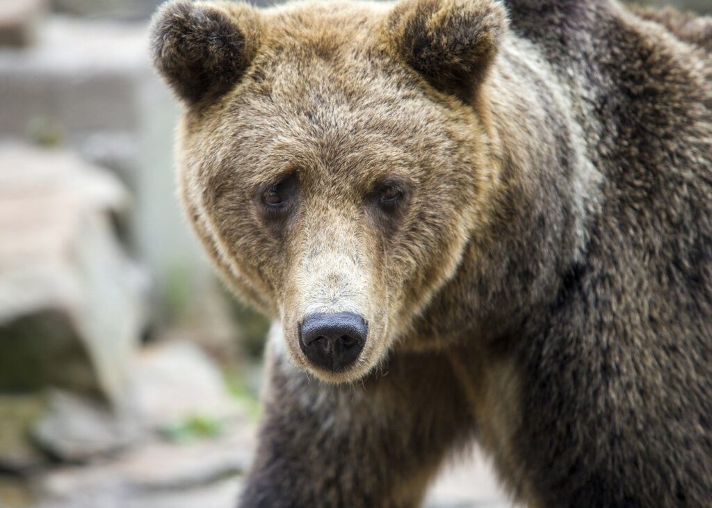 when to report investment income dismoneyfied