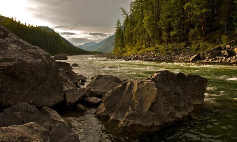 tazopha investment ltd