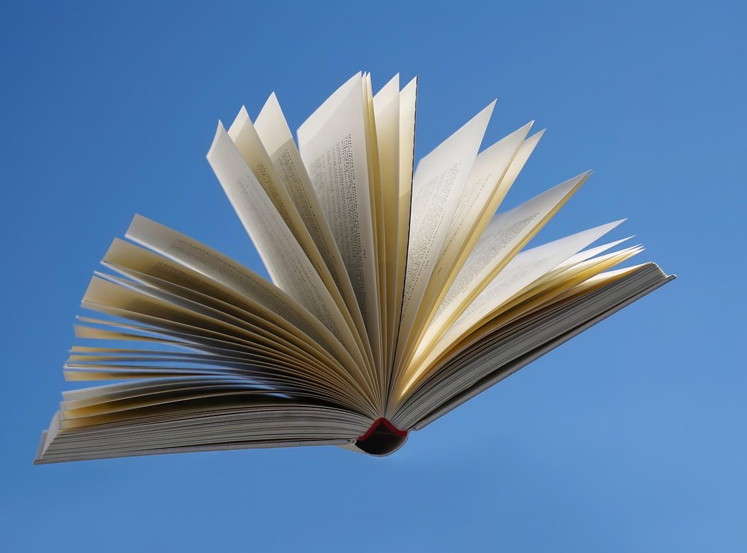 Where to Read the 'Mi Frío Exmarido' Novel Online