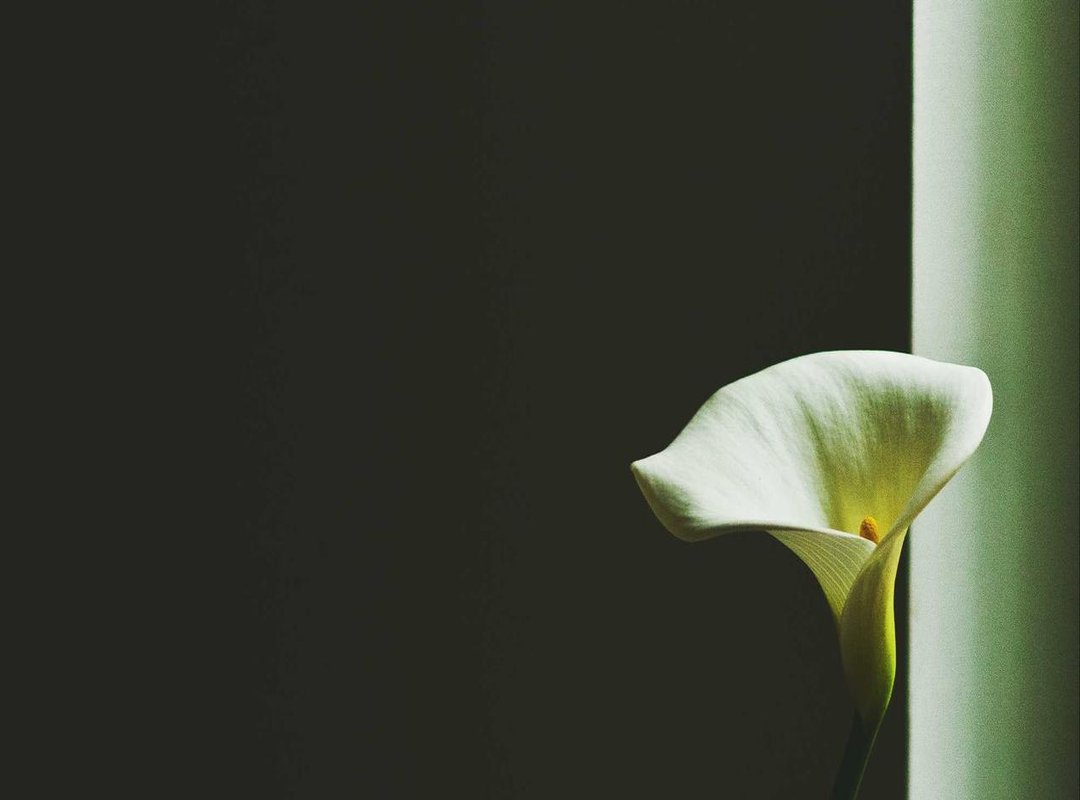 From Hurt to Action: What to Do When You Feel Invisible
